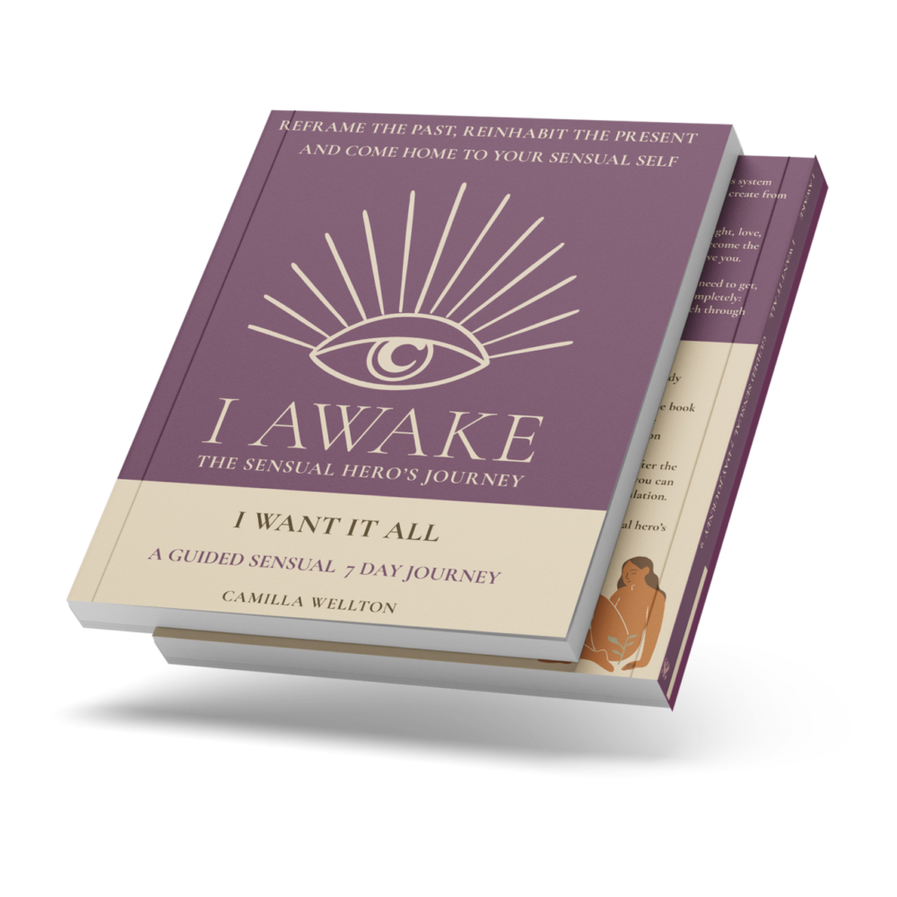I Want It All book cover