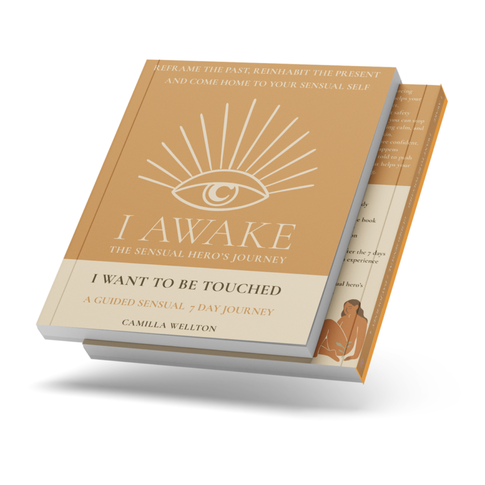 I Want to Be Touched book cover