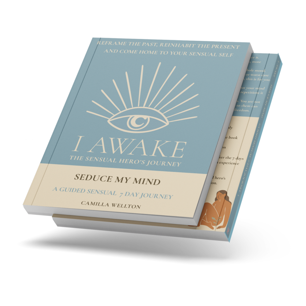 Seduce My Mind book cover