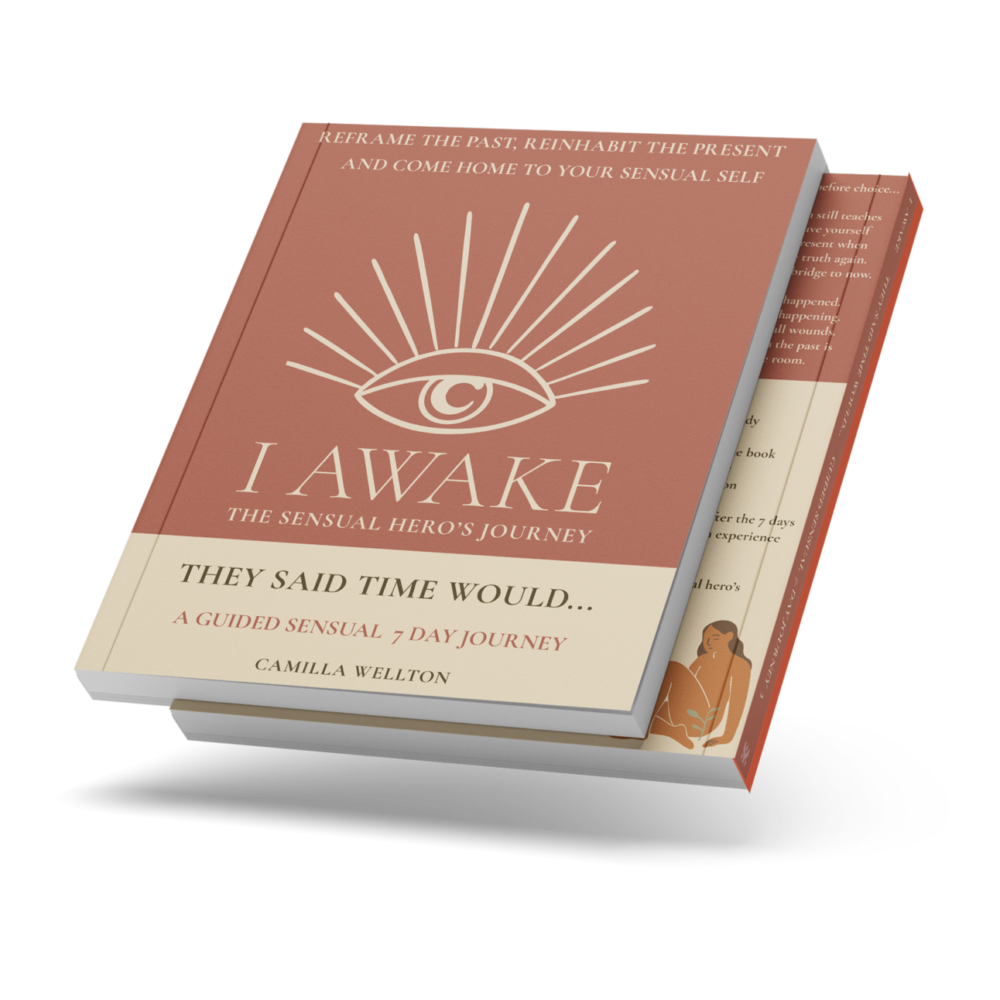 They Said Time Would… book cover