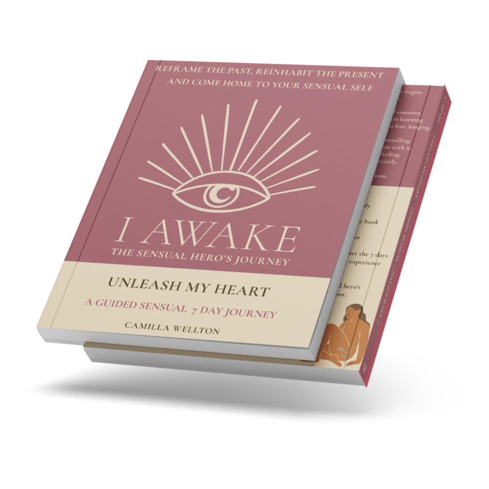 Unleash My Heart book cover