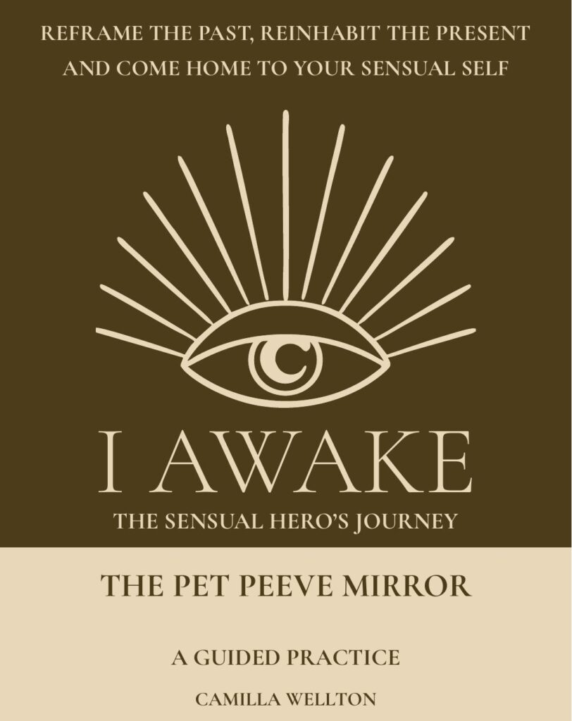 The Pet Peeve Mirror