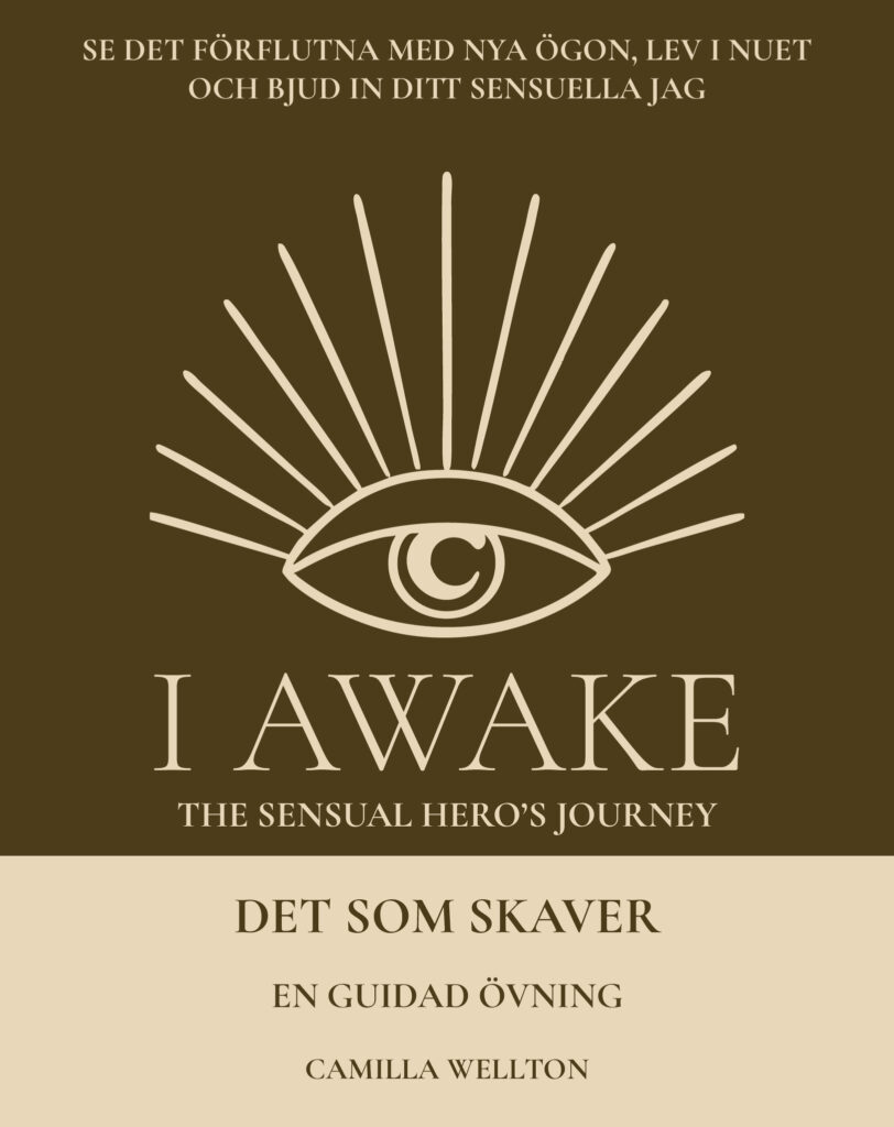 Det som skaver – I AWAKE