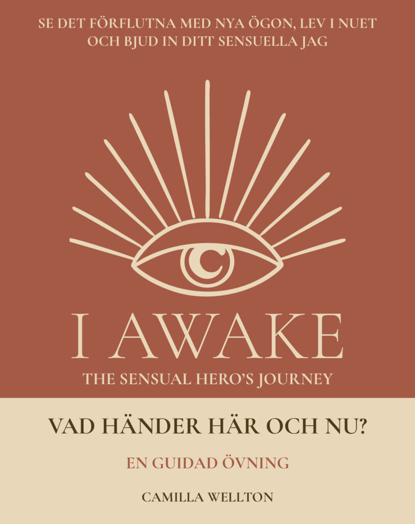 Vad händer här och nu? – I AWAKE