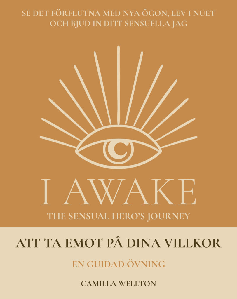 Att ta emot på dina villkor – I AWAKE