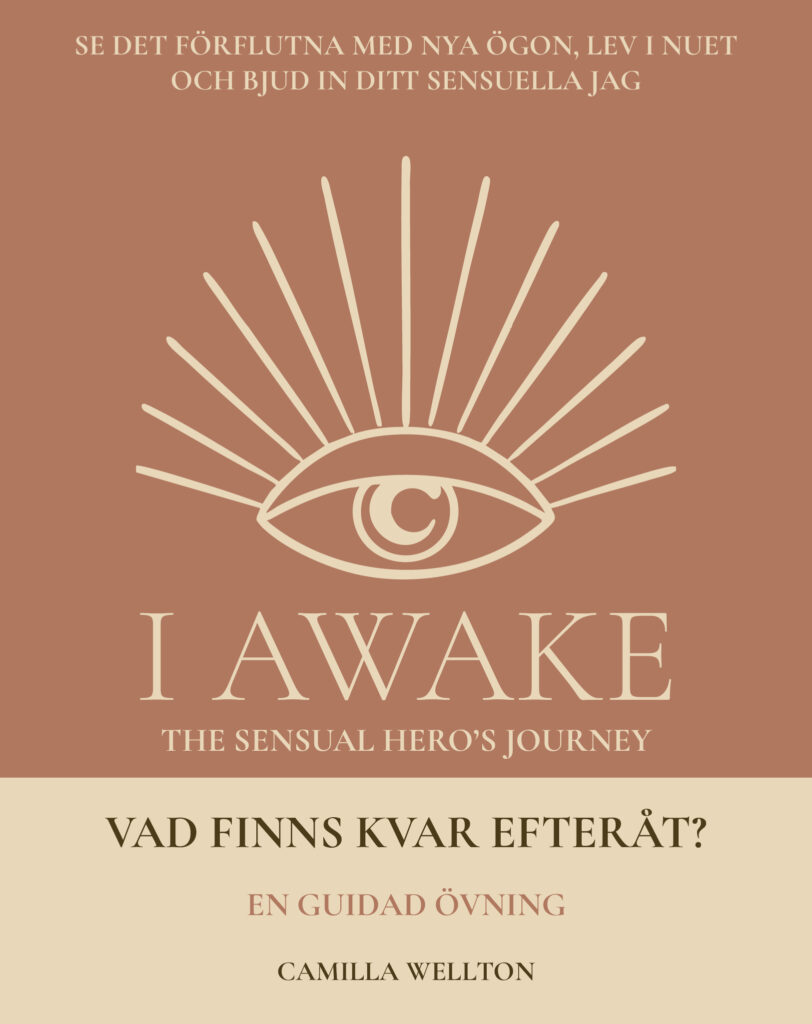 Vad finns kvar efteråt? – I AWAKE